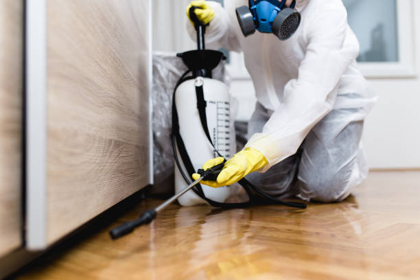 Best Pest Prevention Services  in West Slope, OR