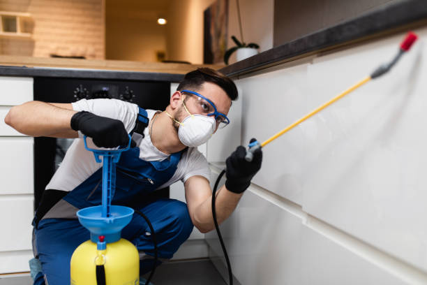 Best Cockroach Control Services  in West Slope, OR