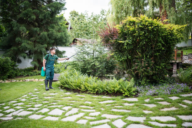 Best Rat Extermination Near Me  in West Slope, OR