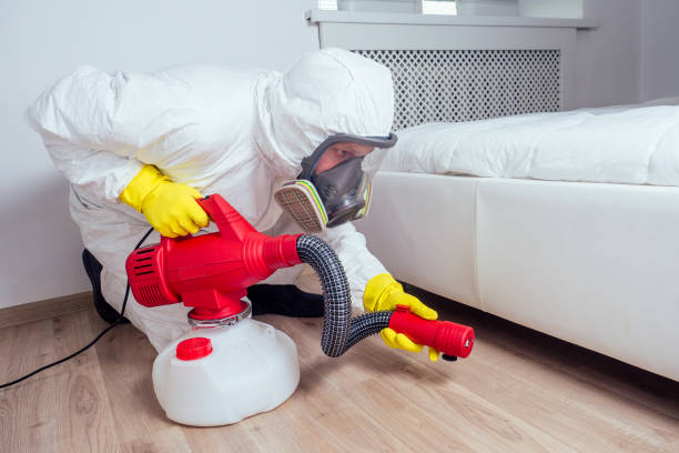 Best Local Pest Control Services  in West Slope, OR