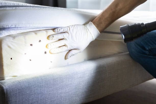 Best Best Pest Control Companies  in West Slope, OR