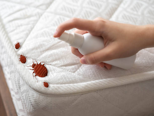 Best Best Pest Control Companies  in West Slope, OR