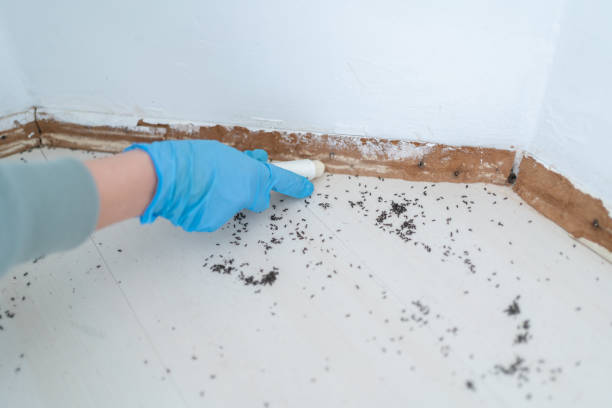 Pest Control for Restaurants in West Slope, OR