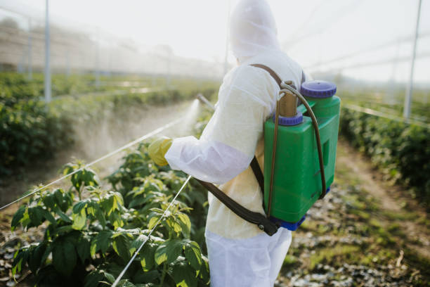 Reliable West Slope, OR Pest Control Solutions
